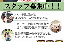 スタッフ募集中!